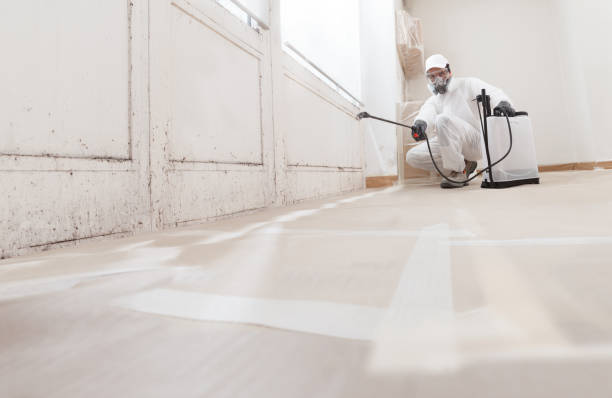 24/7 Emergency Attic Mold Removal experts in Berryville, TX