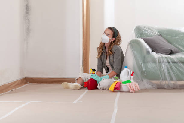 Reliable Mold Remediation contractor in Berryville, TX by Cheap Mold Removal